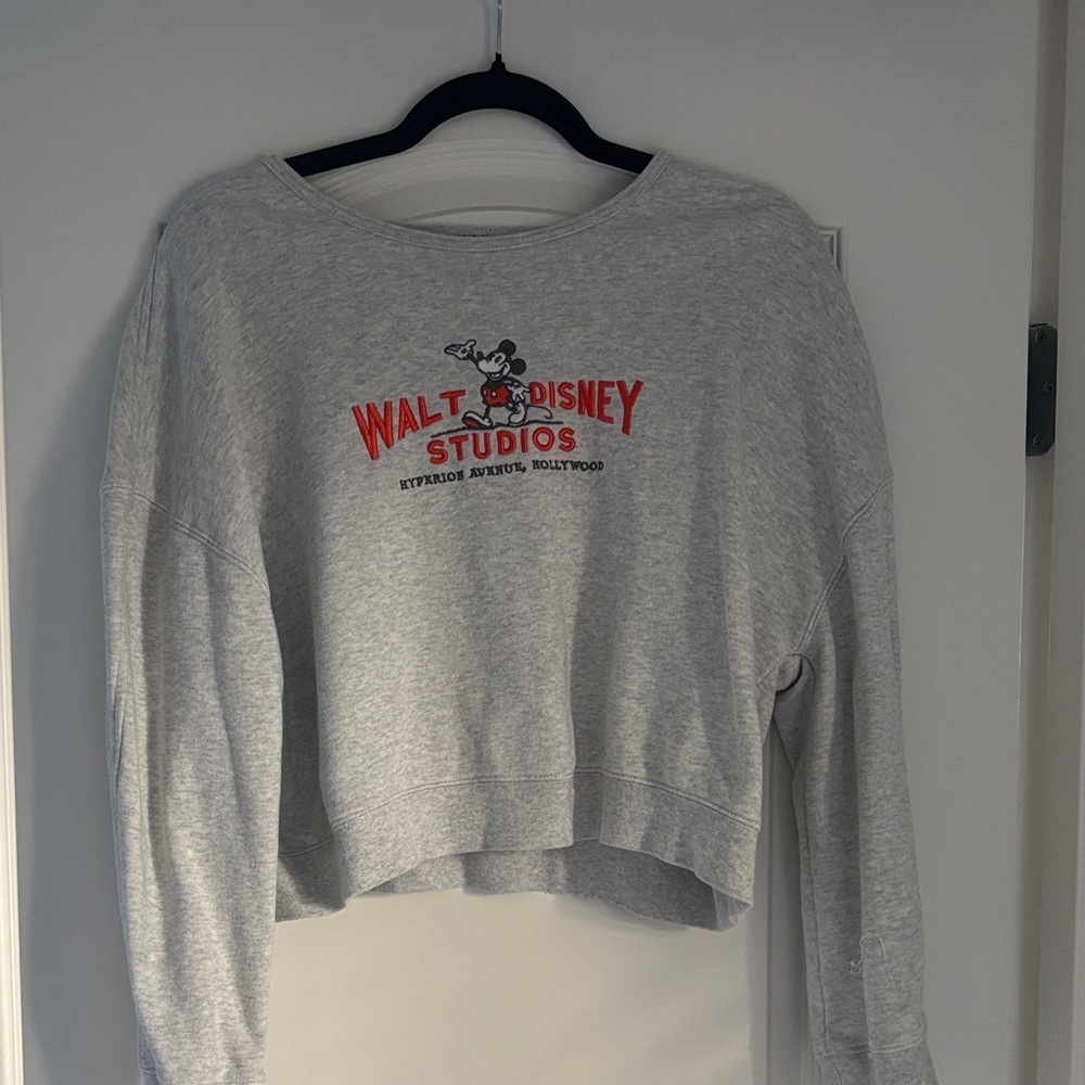 Disney World Gray Cropped Sweatshirt